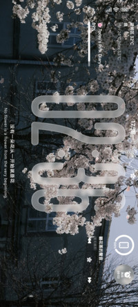 ins液态景深樱花