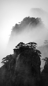 卧谷听松
