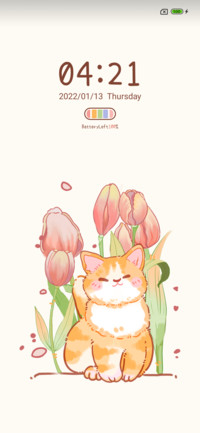 Lovely cat
