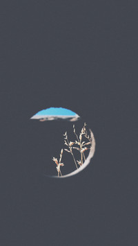 Conserve Nature 17