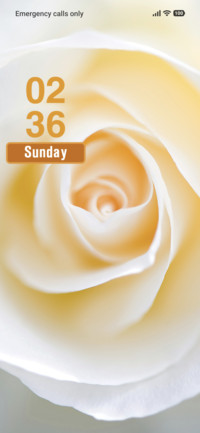 White Petals