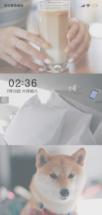 淘气崽