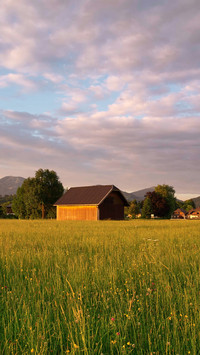 The alpine plain