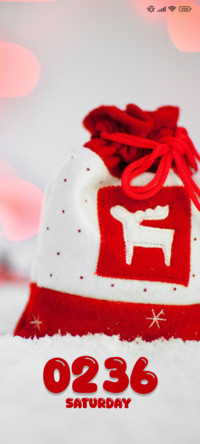 Xmas Bag