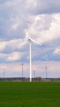 Wind turbine farm and agricultural fields