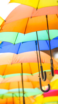 Umbrella story (11)