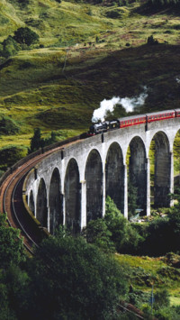 Bridges Of Life (8)