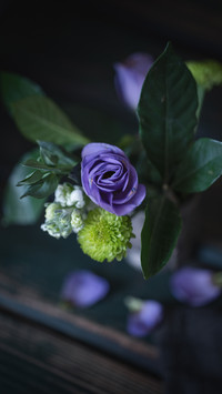 Indoor flowers skills