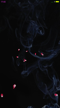 玫瑰红色