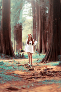 Motion Blur