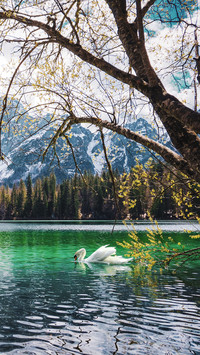 The beautiful lakes and mountains of italy
