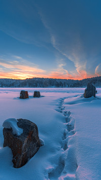 Is the earth livable due to temperature change 08
