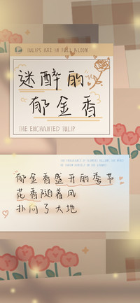 迷醉的郁金香