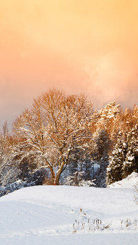 Winter scenery-02