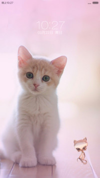 猫咪猫咪（自由桌面+图标覆盖 V6）