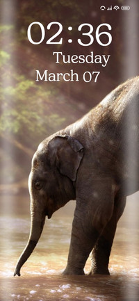 Elephant