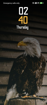 Dark Eagle