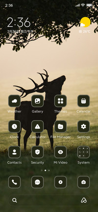 Deer