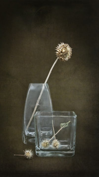Method of Making Dried Flowers 5