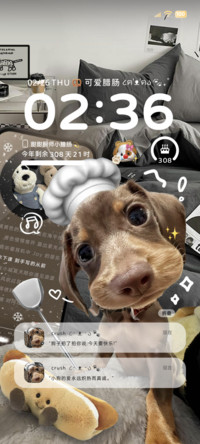INS风小腊肠奶狗
