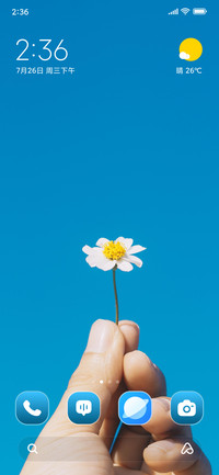 Blooming Flowers