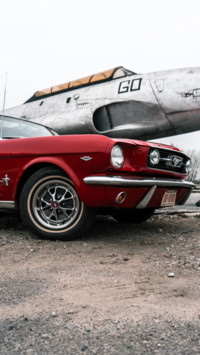 Muscle (5)