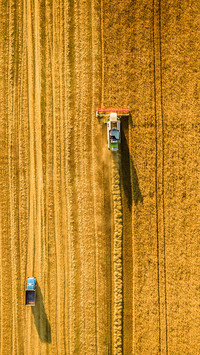 Harvester machine working in field