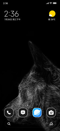 Wolf