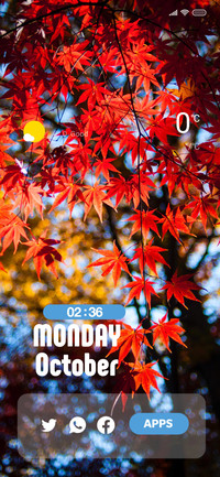 Maple Naalgu