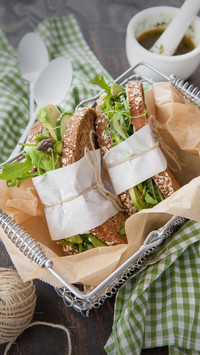 The sandwich thing 7