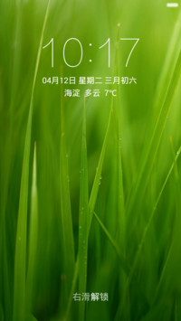 草的特写 绿色护眼 右滑解锁