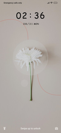 White Flower_3MDS