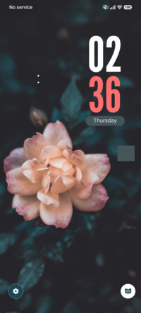 Rose Blush