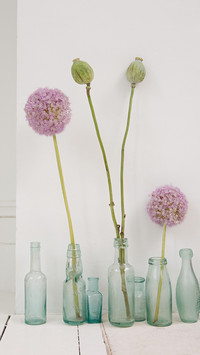 international-still life (2)