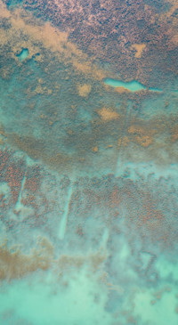 Nature HD - 2020-06-02T124041.722