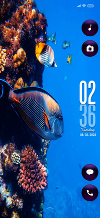 Fishy quo