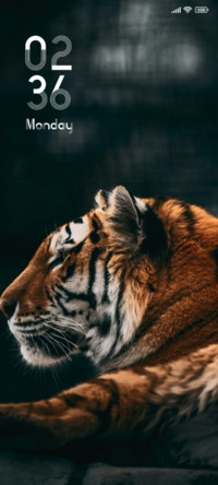 Predator