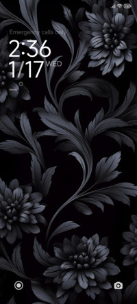 PureBlack