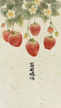 所有酸涩终将回甘