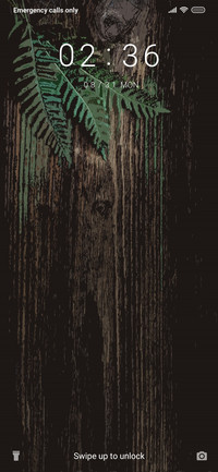 Leaf Wooden Background_3MDS