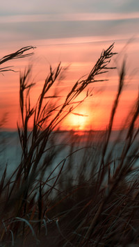 Wind At sunset