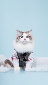 cat5