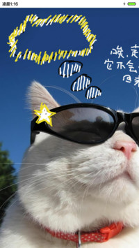 江天真的猫 手绘+音乐界面 
