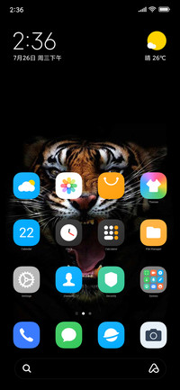 TIGER Y