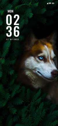 Wolf Fear