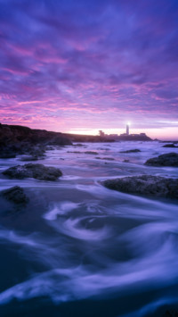 Purple