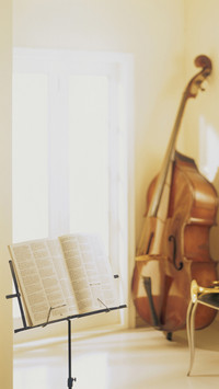 India-cello