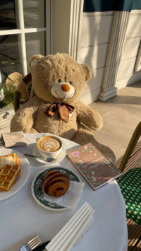 Teddy bear
