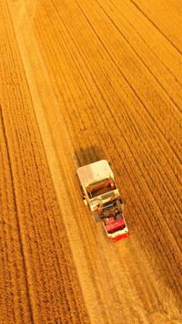 Harvester day autumn