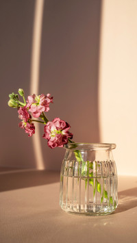 Beautiful abstract background with flowers and vases